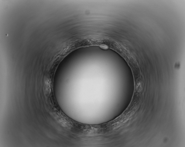 X0000099320772200805091040