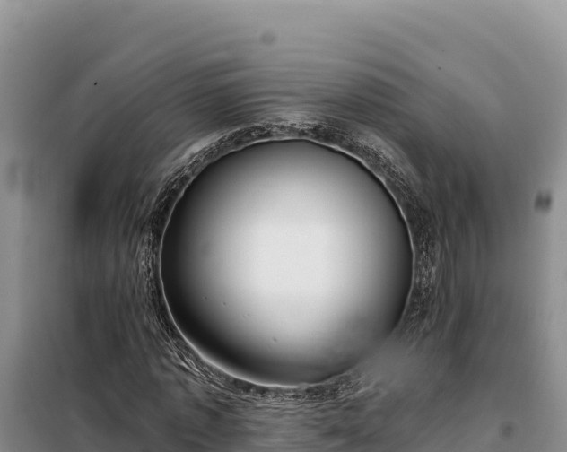 X0000099320773200805091040