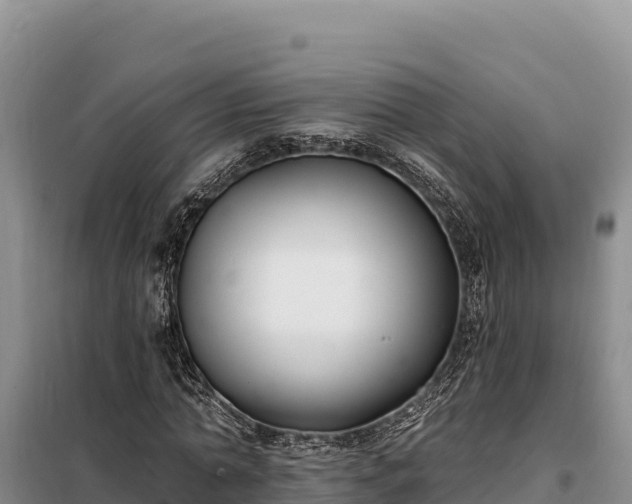 X0000099320774200805091040