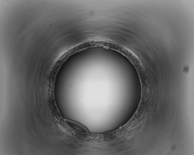 X0000099320775200805091040