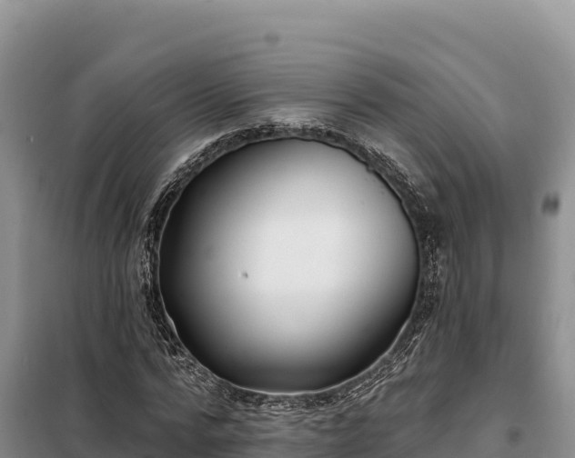 X0000099320776200805091040