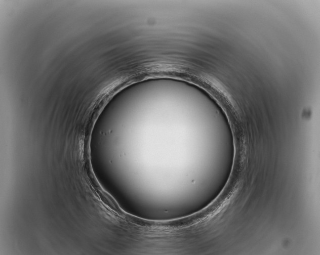 X0000099320777200805091040