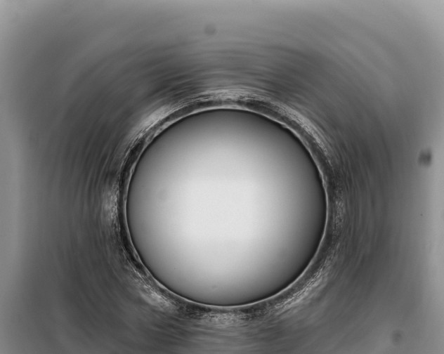 X0000099320778200805091040