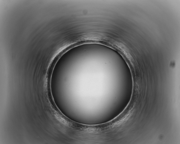 X0000099320779200805091040