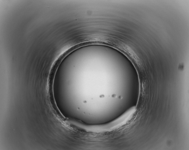 X0000099320780200805091040