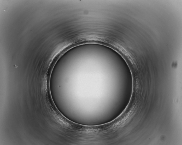 X0000099320782200805091040