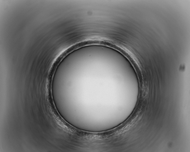 X0000099320783200805091040