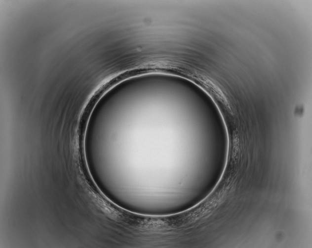 X0000099320784200805091040