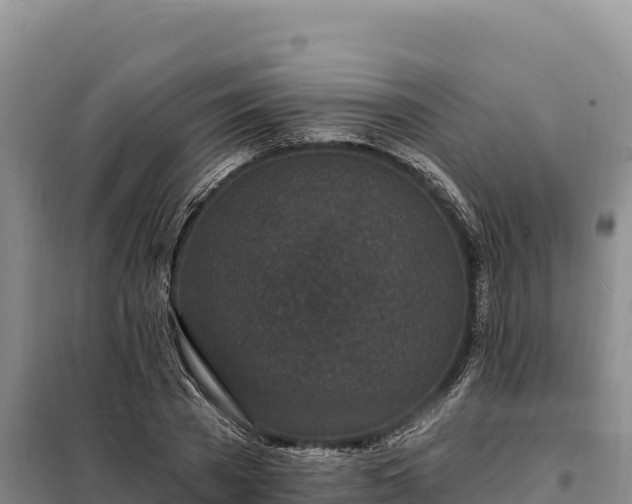 X0000099320785200805091040