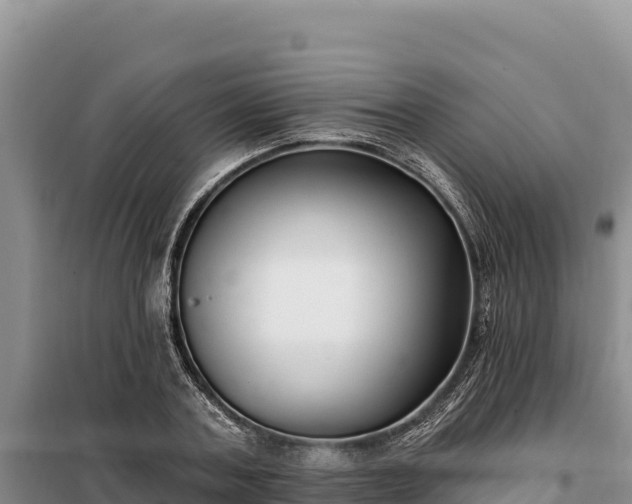 X0000099320787200805091040