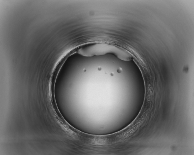 X0000099320788200805091040