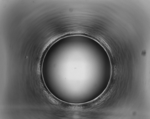 X0000099320789200805091040