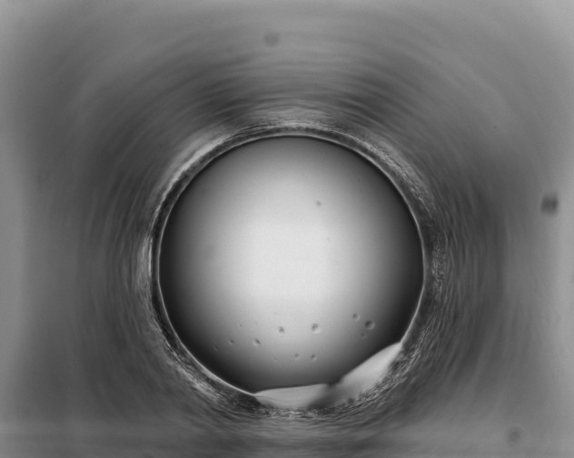 X0000099320790200805091040