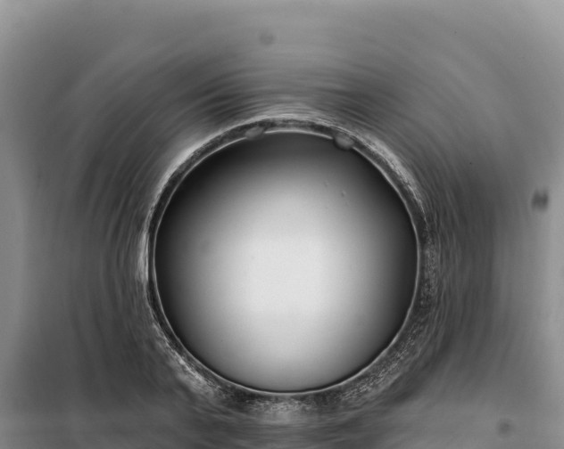 X0000099320791200805091040