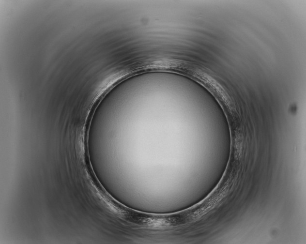 X0000099320794200805091040