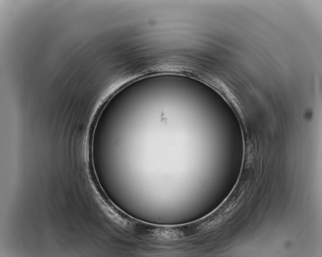 X0000099320795200805091040