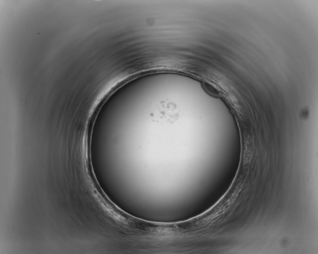 X0000099320796200805091040