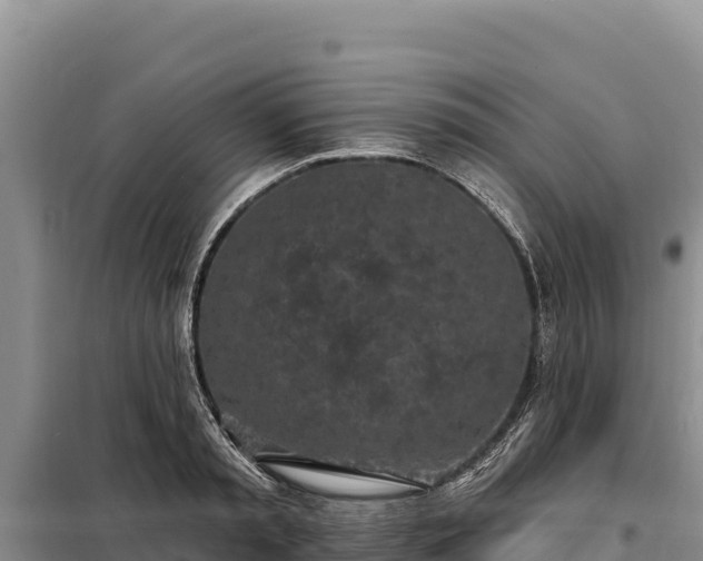 X0000099320797200805091040