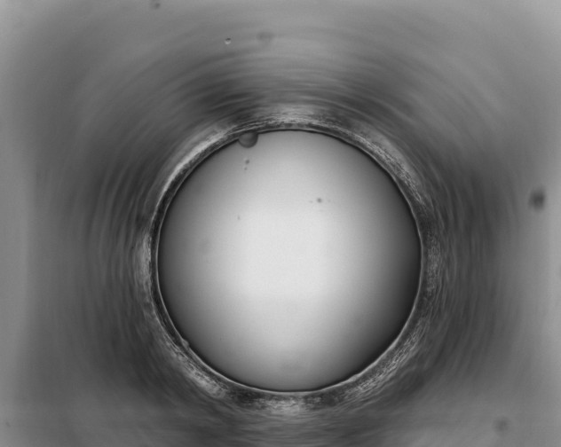 X0000099320798200805091040