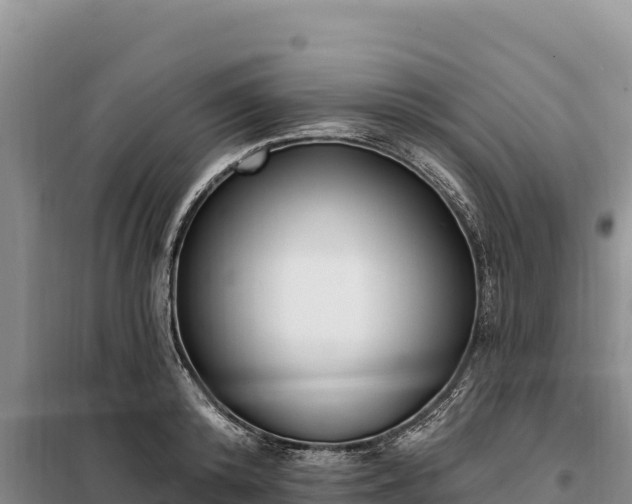 X0000099320800200805091040