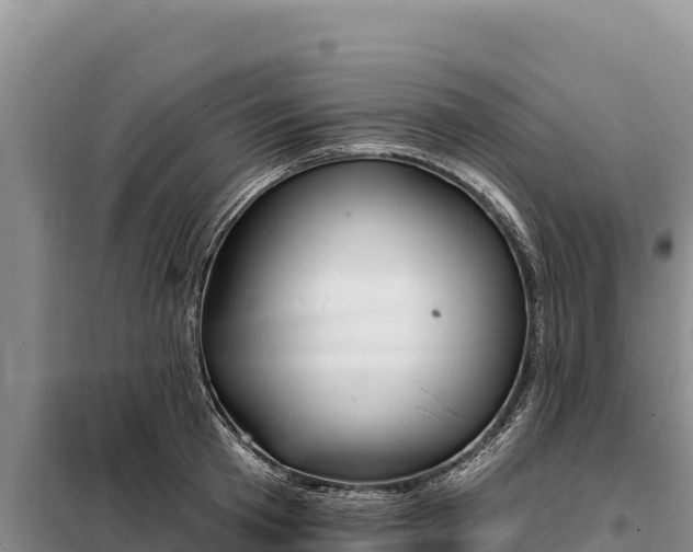 X0000099320801200805091040