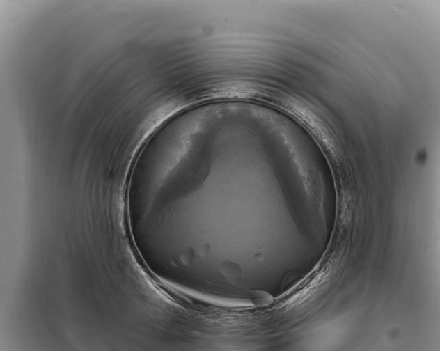 X0000099320802200805091040