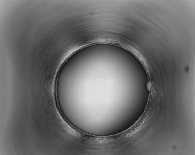 X0000099320803200805091040