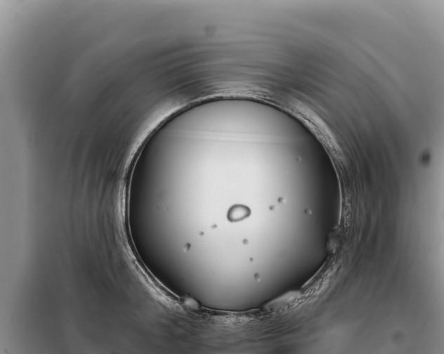 X0000099320804200805091040