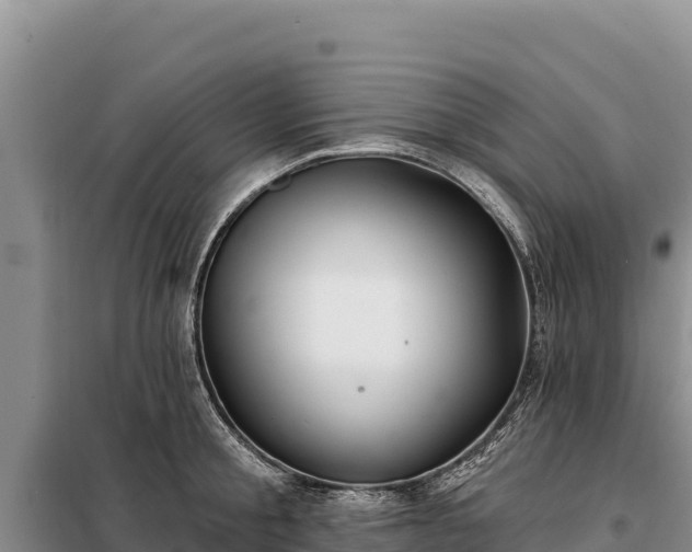 X0000099320805200805091040