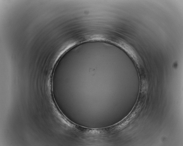 X0000099320806200805091040