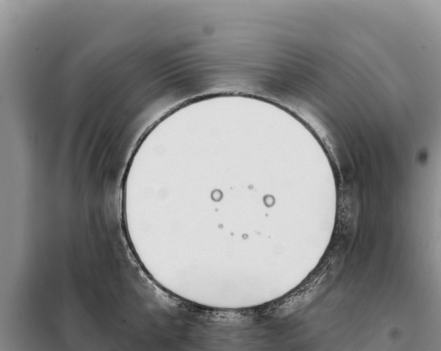 X0000099320807200805091040