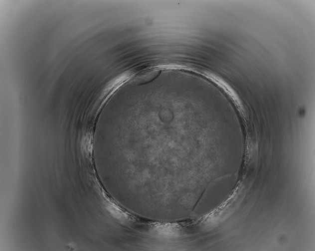 X0000099320809200805091040