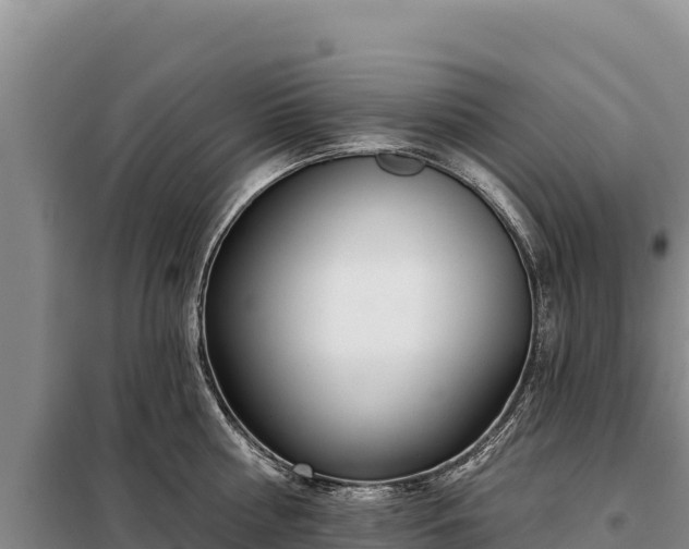 X0000099320810200805091040