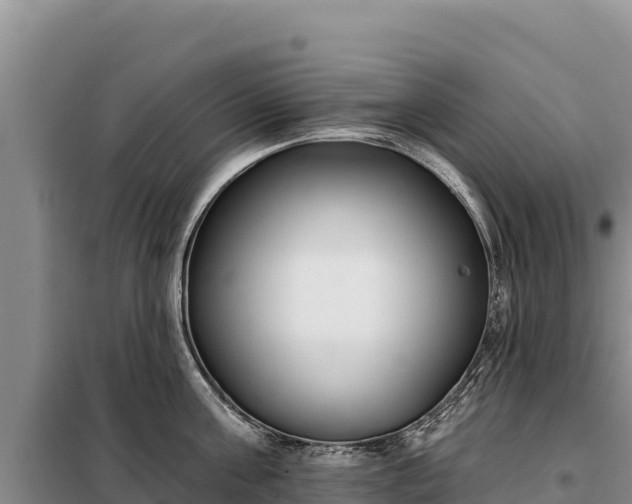 X0000099320811200805091040