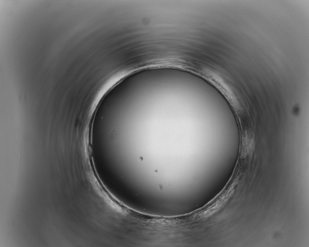 X0000099320812200805091040