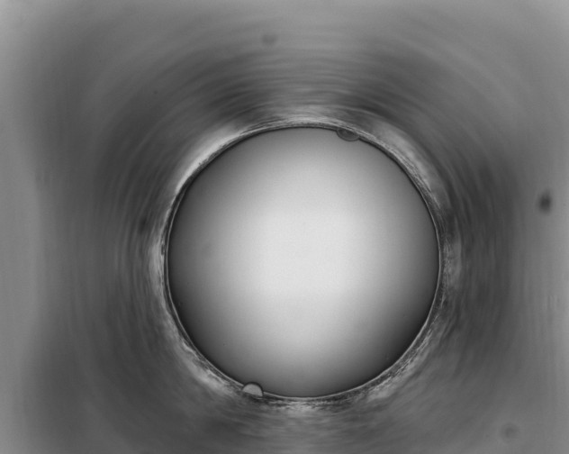 X0000099320814200805091040