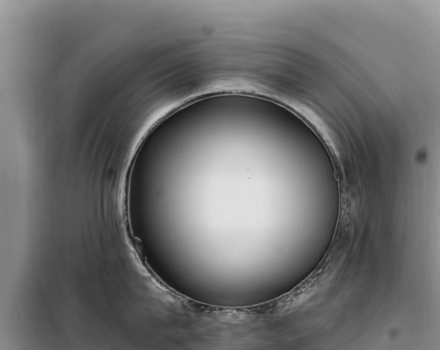 X0000099320815200805091040