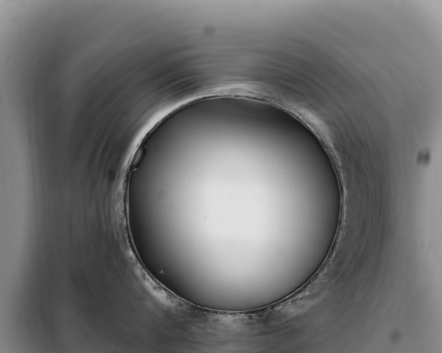 X0000099320816200805091040