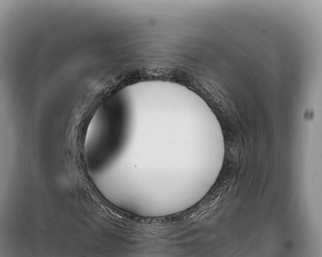 X0000099320817200805091039