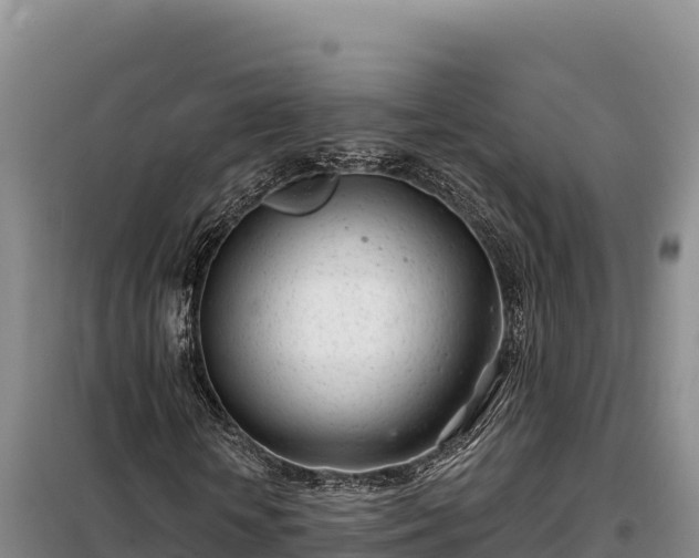 X0000099320818200805091039