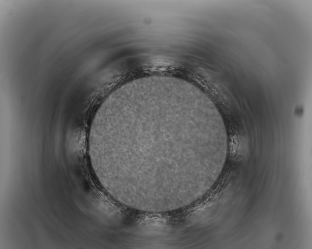 X0000099320820200805091039