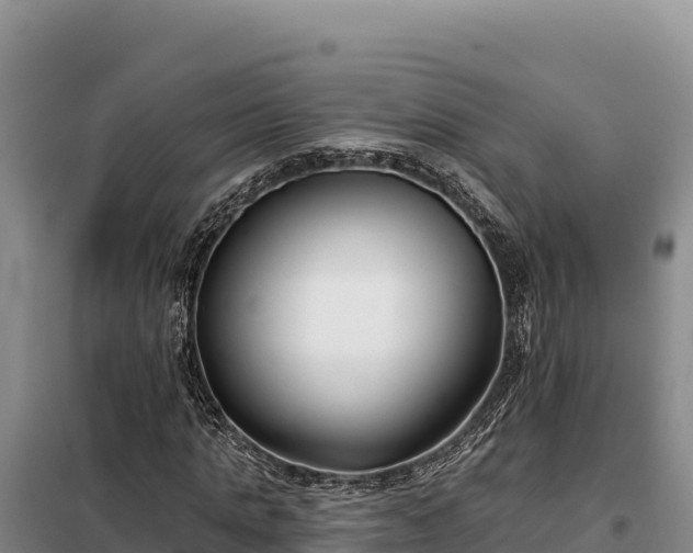 X0000099320821200805091039