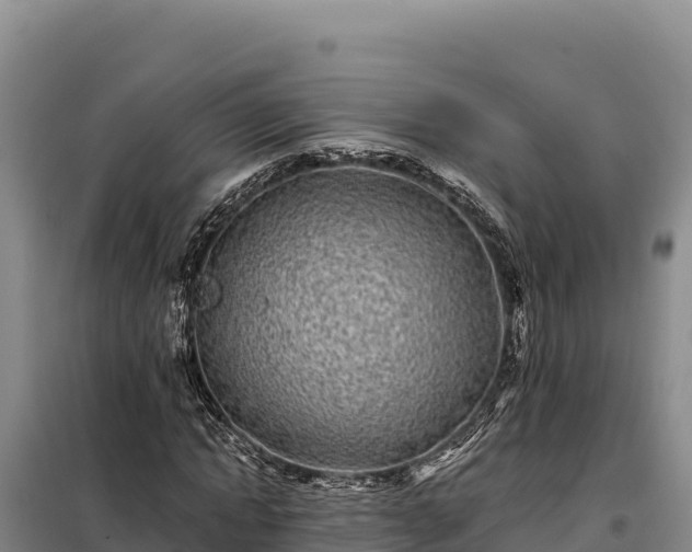 X0000099320822200805091039