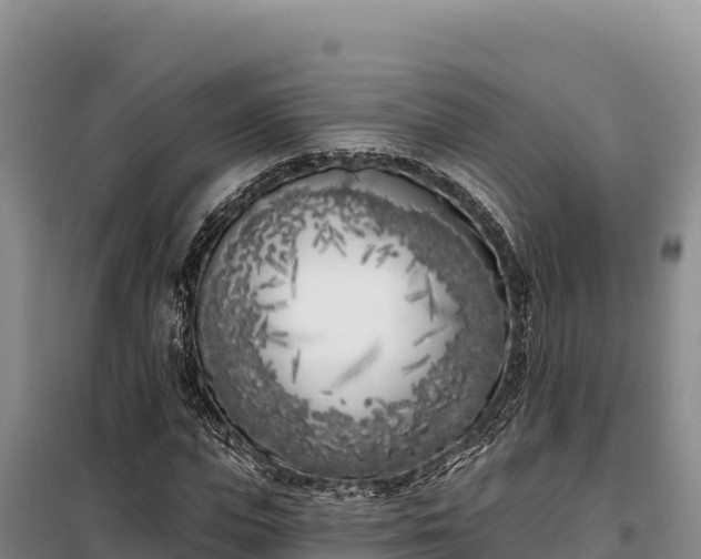 X0000099320823200805091039