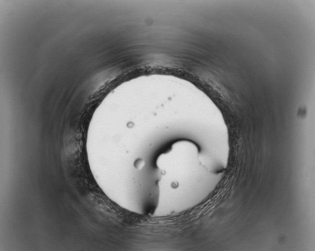 X0000099320824200805091039