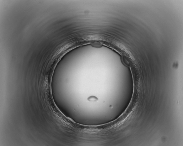 X0000099320825200805091039