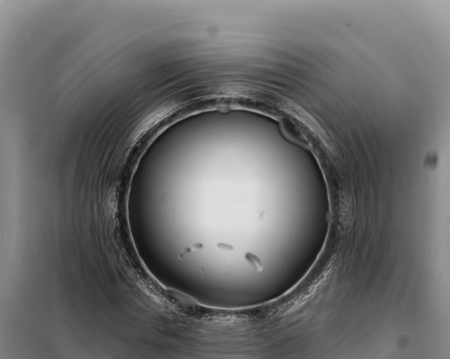 X0000099320826200805091039