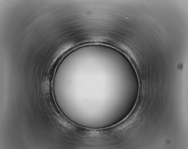 X0000099320827200805091039