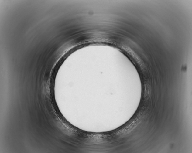 X0000099320828200805091039