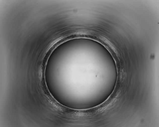 X0000099320829200805091039